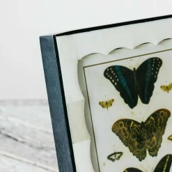 Graham & Green Scalloped Bone and Horn Frame