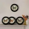Graham & Green Set of Four Butterfly Prints