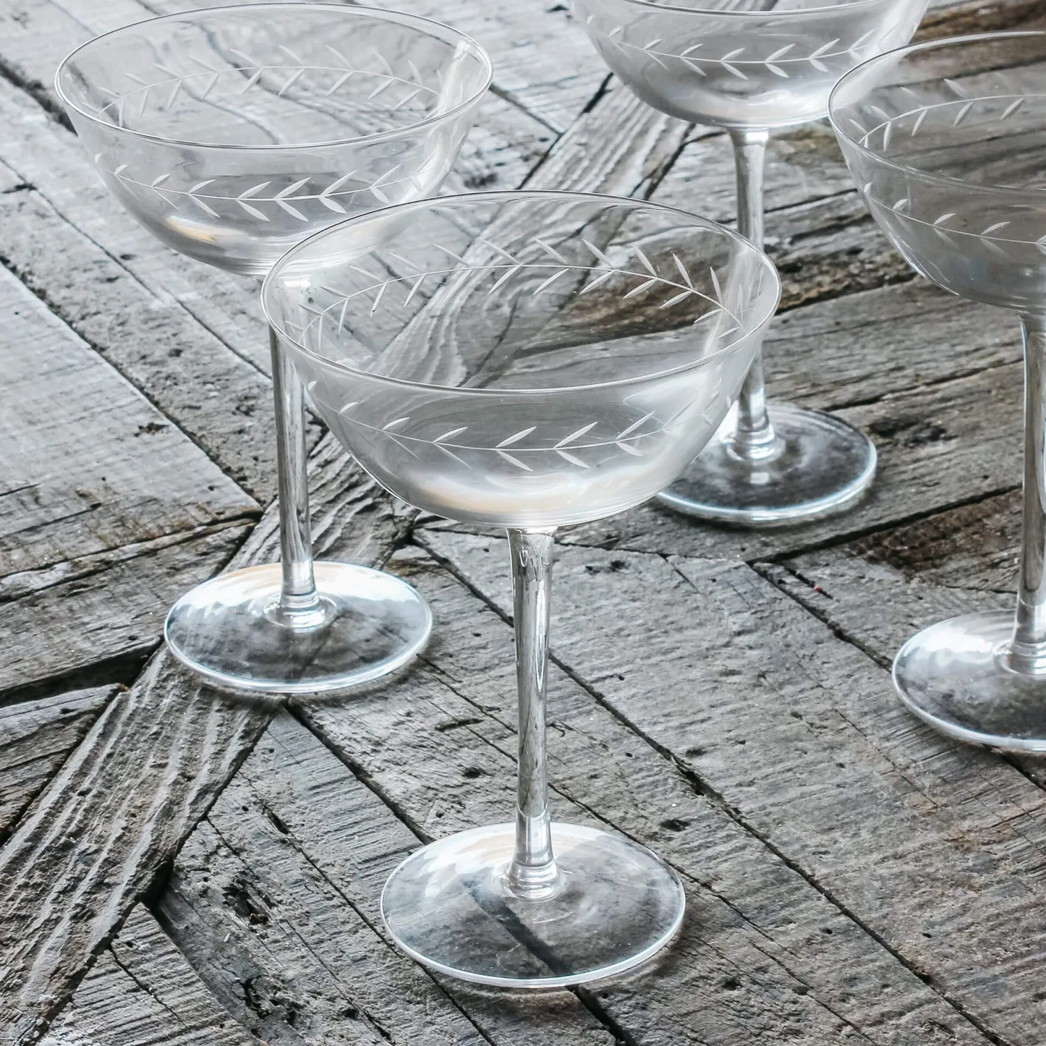 Graham & Green Set of Four Etched Garland Martini Glasses