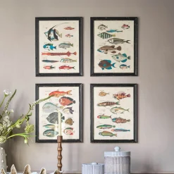 Graham & Green Set of Four Multicolour Fish Prints