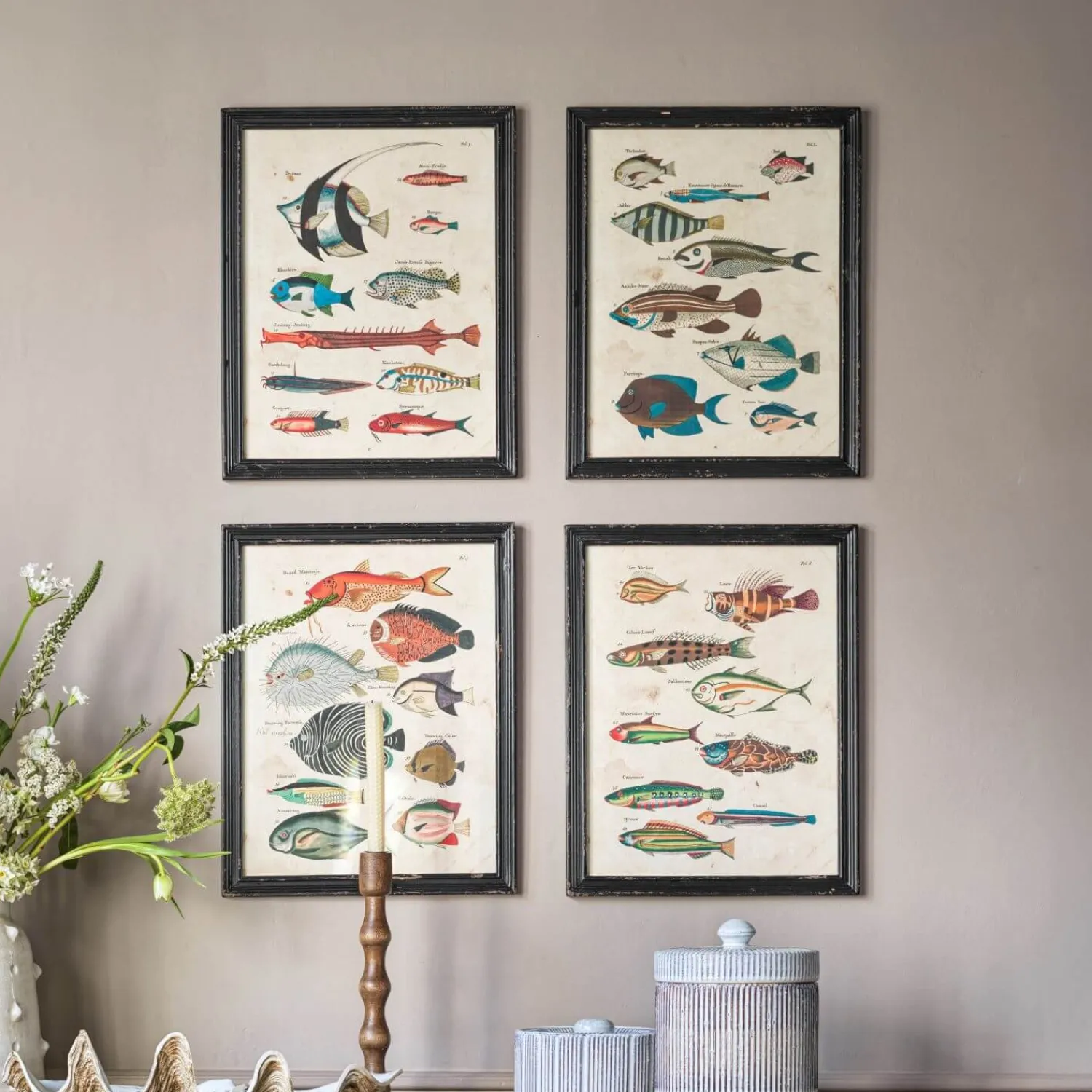 Graham & Green Set of Four Multicolour Fish Prints