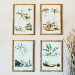 Graham & Green Set of Four Palm Tree Prints
