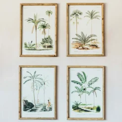 Graham & Green Set of Four Palm Tree Prints