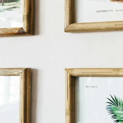 Graham & Green Set of Four Palm Tree Prints