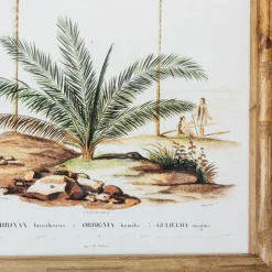 Graham & Green Set of Four Palm Tree Prints
