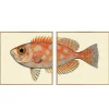 Graham & Green Set of Two Blotched Bigeye Print with Oak Frames