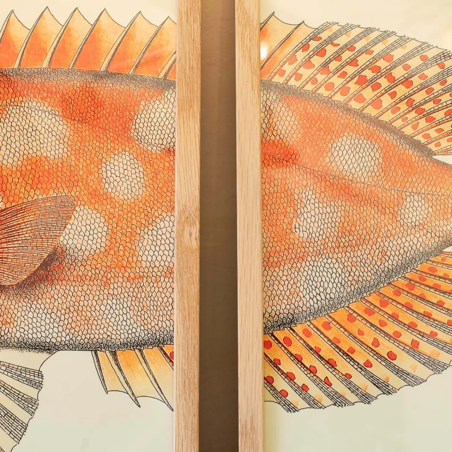 Graham & Green Set of Two Blotched Bigeye Print with Oak Frames