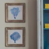 Graham & Green Set of Two Framed Blue Coral Pictures