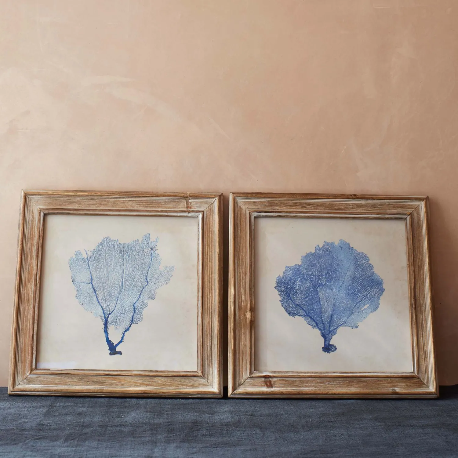 Graham & Green Set of Two Framed Blue Coral Pictures