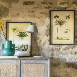 Graham & Green Set of Two Framed Palm Tree Prints