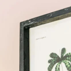Graham & Green Set of Two Framed Palm Tree Prints