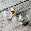 Graham & Green Set of Two Glass and Brass Spiral Melon Door Knobs