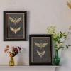 Graham & Green Set of Two Moth Prints