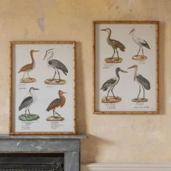 Graham & Green Set of Two Wading Birds Wall Art