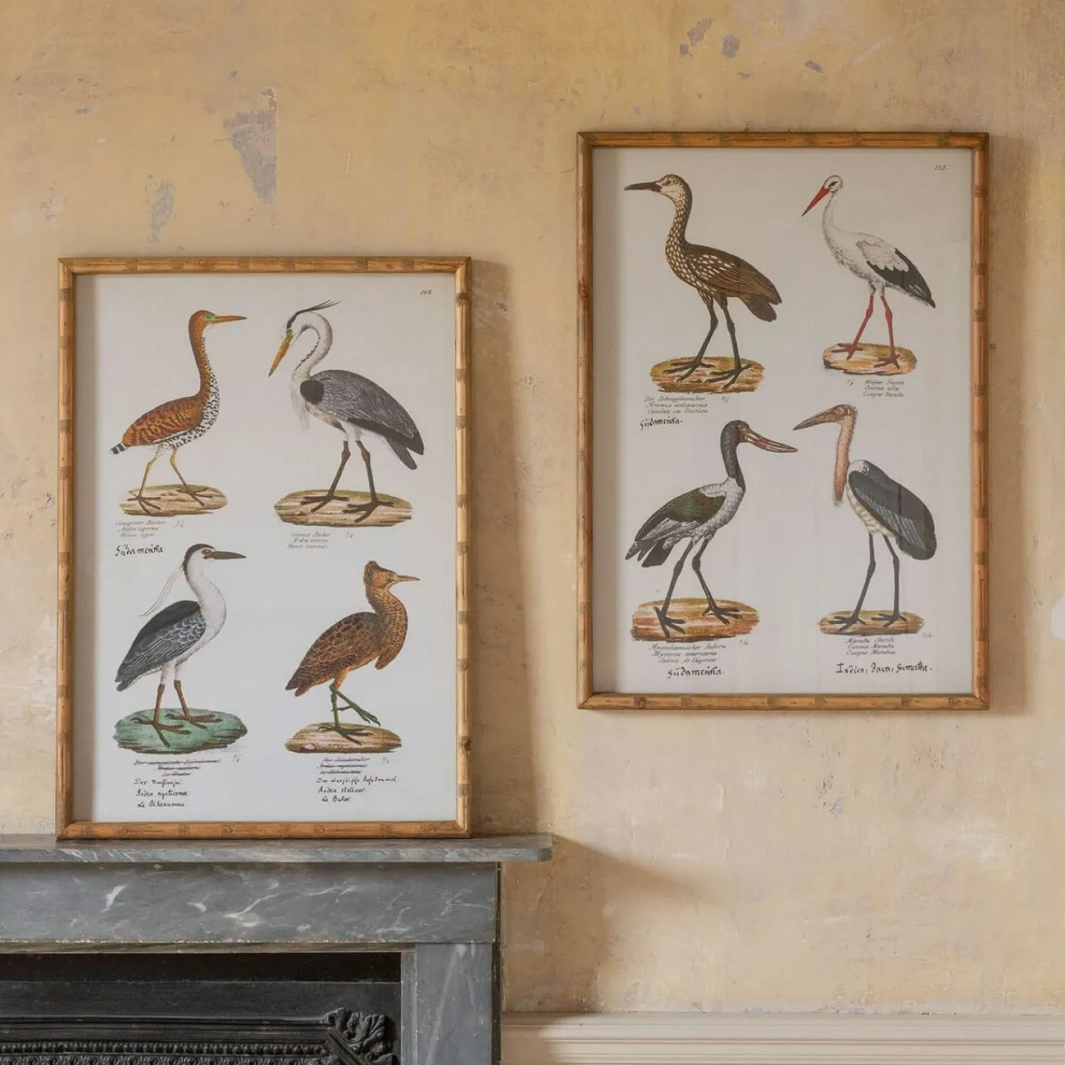 Graham & Green Set of Two Wading Birds Wall Art
