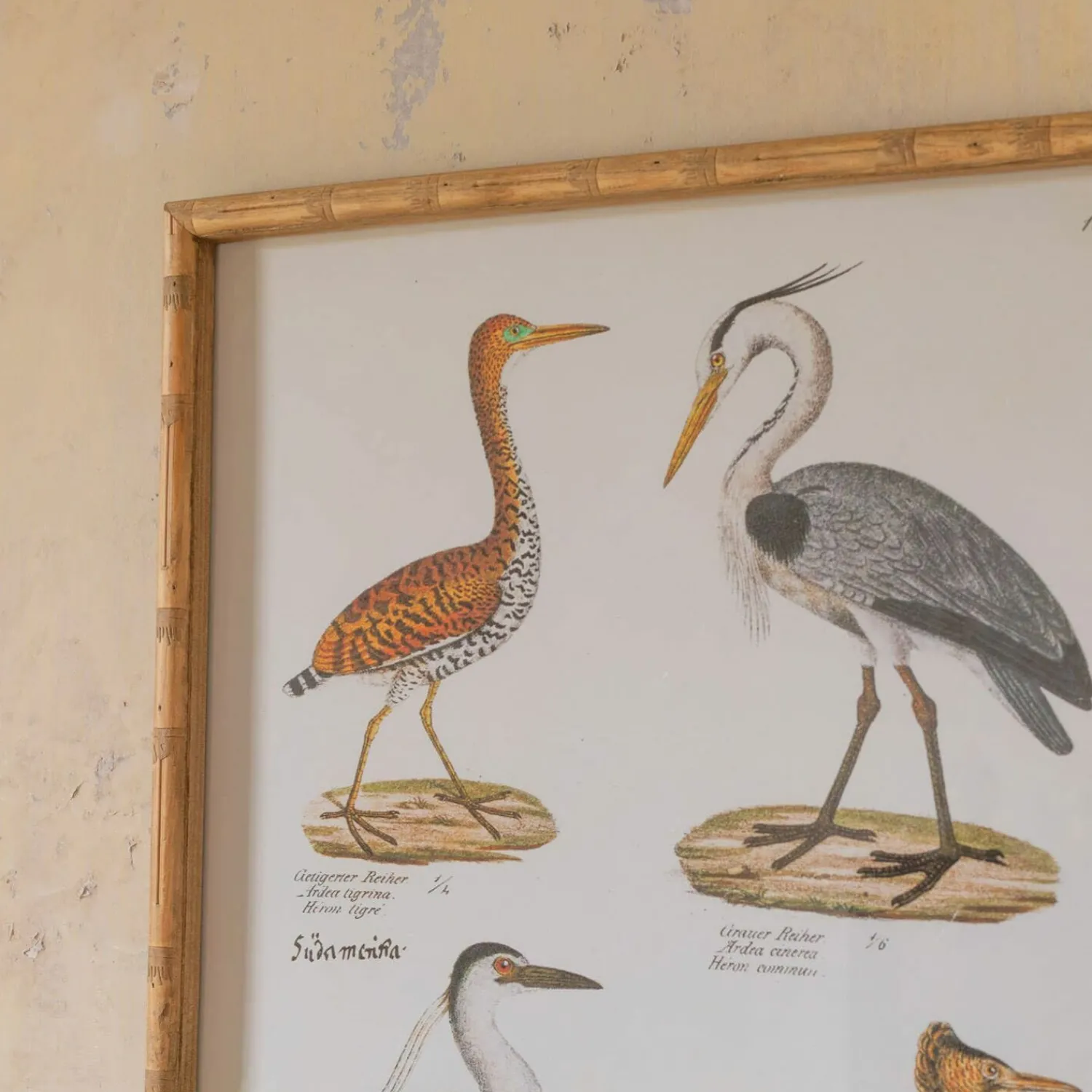 Graham & Green Set of Two Wading Birds Wall Art