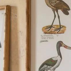 Graham & Green Set of Two Wading Birds Wall Art