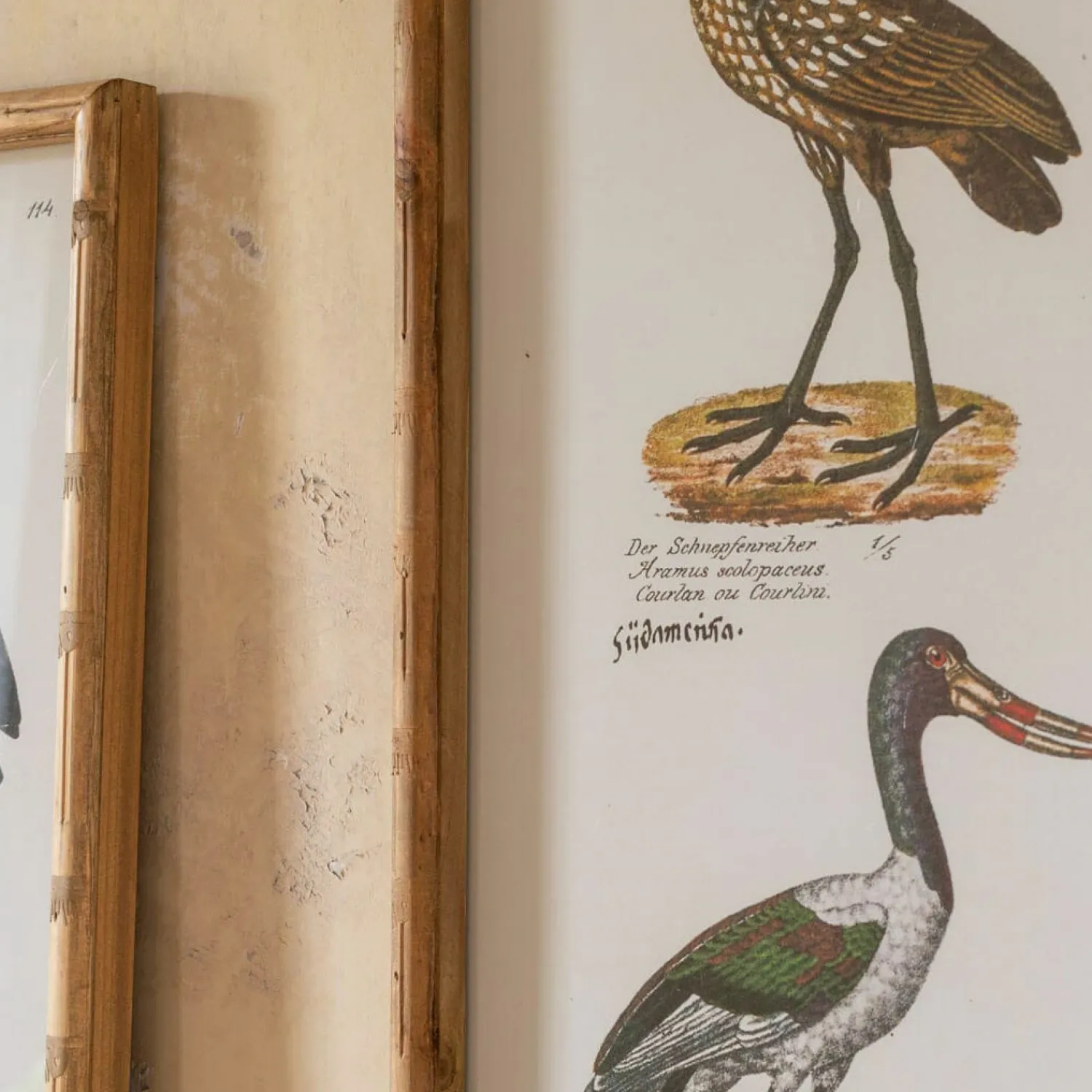 Graham & Green Set of Two Wading Birds Wall Art
