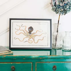 Graham & Green Small Framed Octopus Print
