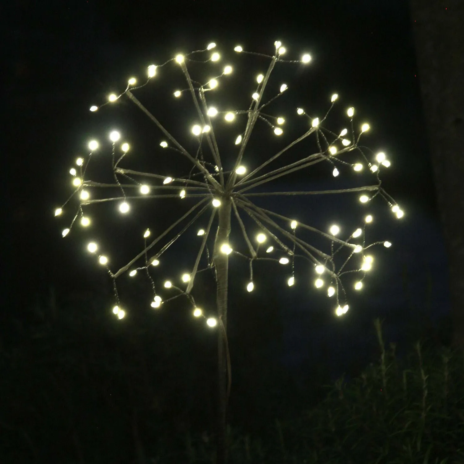 Graham & Green Small Outdoor Dandelion Light