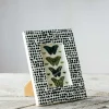 Graham & Green Spotty Black Bone Frame