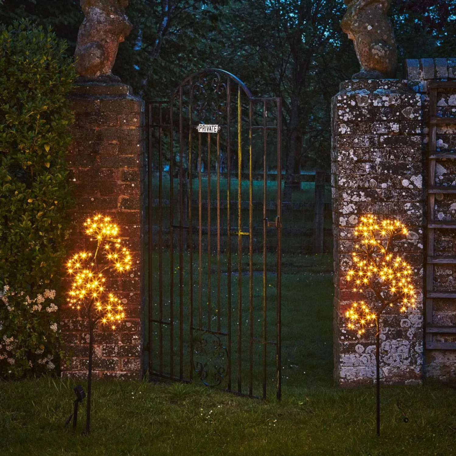 Graham & Green Starburst Branch Light