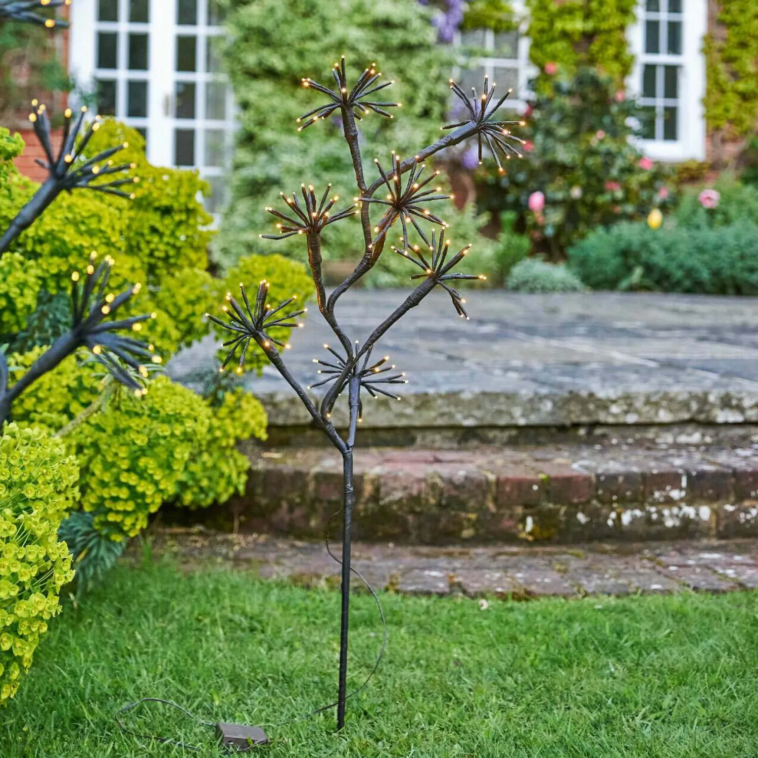 Graham & Green Starburst Branch Light