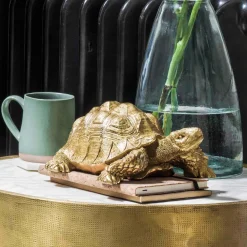 Graham & Green Tarantino the Tortoise