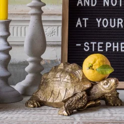 Graham & Green Tarantino the Tortoise