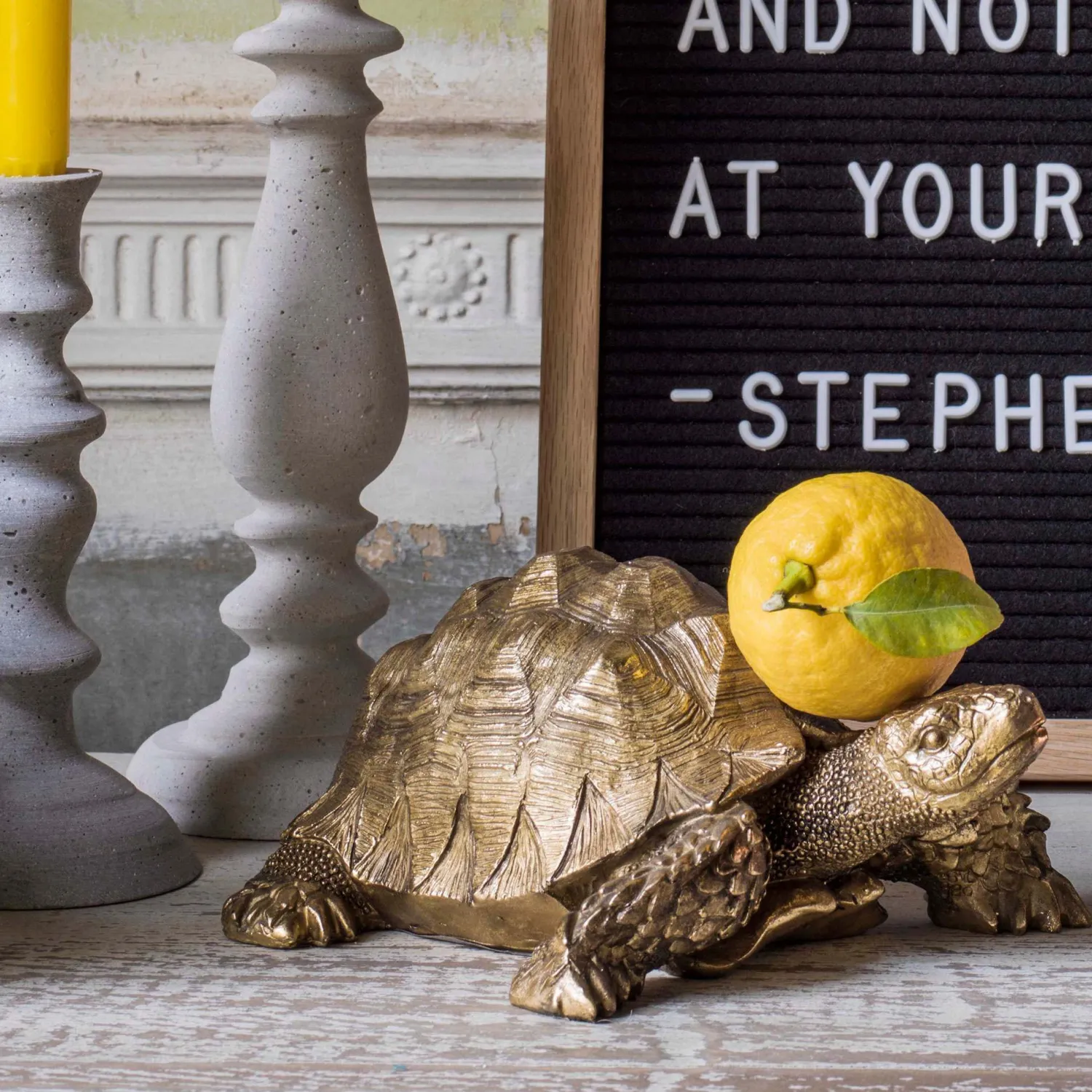 Graham & Green Tarantino the Tortoise
