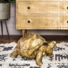 Graham & Green Tarquin the Tortoise