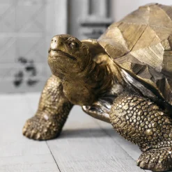 Graham & Green Tarquin the Tortoise