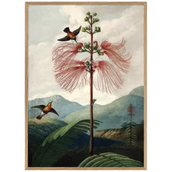 Graham & Green Tree of Flowers Print with Oak Frame