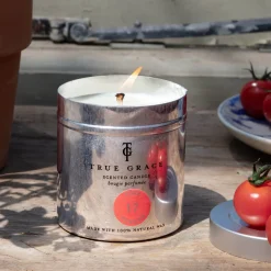 Graham & Green Vine Tomato Tin Candle