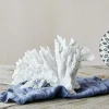 Graham & Green White Ceramic Coral