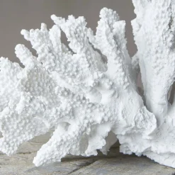 Graham & Green White Ceramic Coral