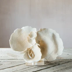 Graham & Green White Faux Coral on Stand