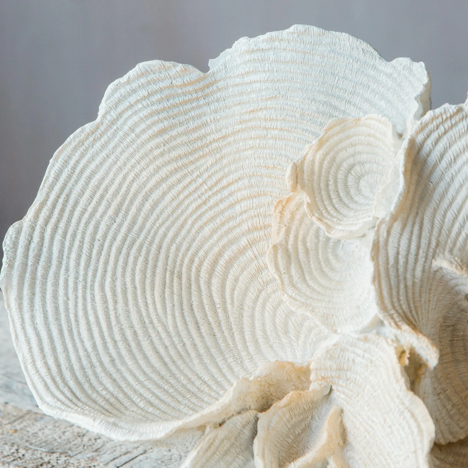 Graham & Green White Faux Coral on Stand