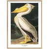 Graham & Green White Pelican Print with Oak Frame