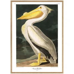 Graham & Green White Pelican Print with Oak Frame