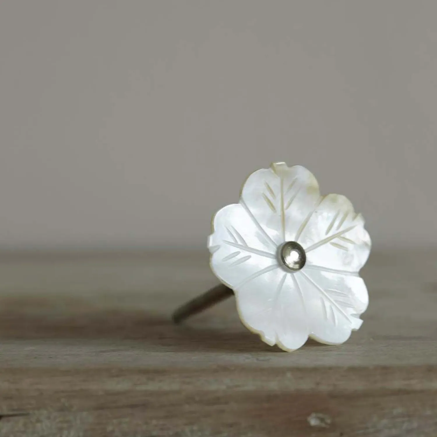 Graham & Green White Shell Flower Knob