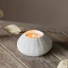 Graham & Green White Urchin Candle Holder