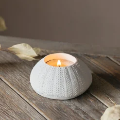 Graham & Green White Urchin Candle Holder