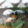Graham & Green Window Bird Feeder