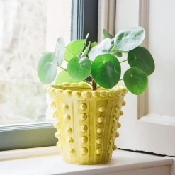 Graham & Green Yellow Bobble Plant Pot