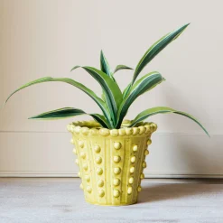 Graham & Green Yellow Bobble Plant Pot