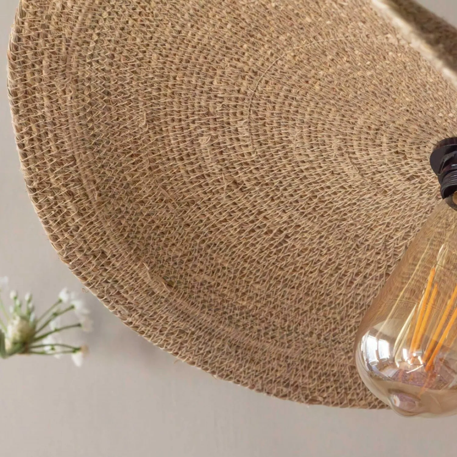 Graham & Green Zinnia Wall Lamp